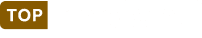 topimpianti logo piccolo