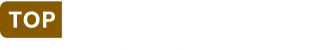 topingegneria logo (1)