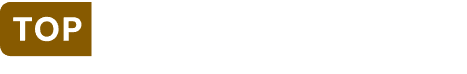 topingegneria logo