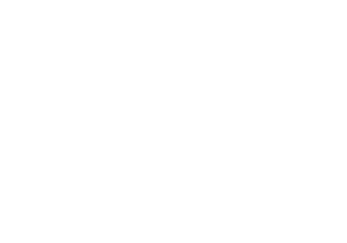 css srl